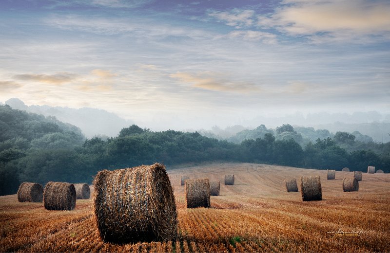paysage-3_08_11-n03.jpg