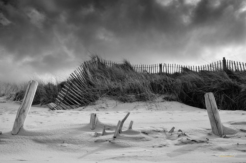 paysage06_04_18n05nb.jpg