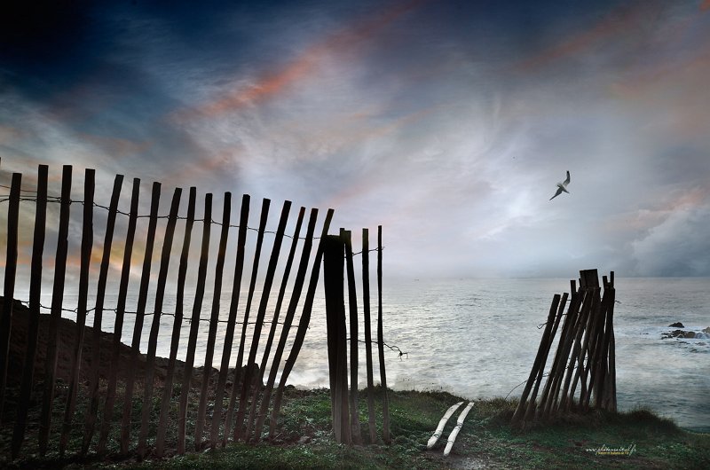 paysage07_01_18n04bis.jpg