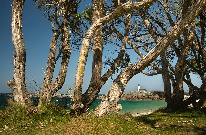 paysage09_04_25n03-1.jpg