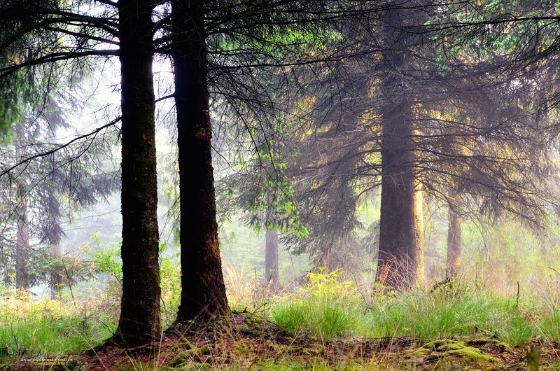 paysage20_05_18n06bis.jpg