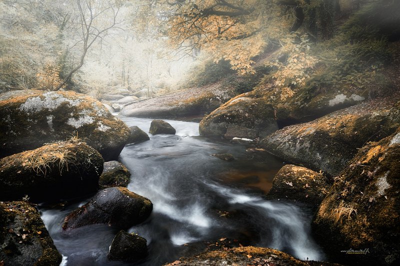 paysage23_10_18n01.jpg