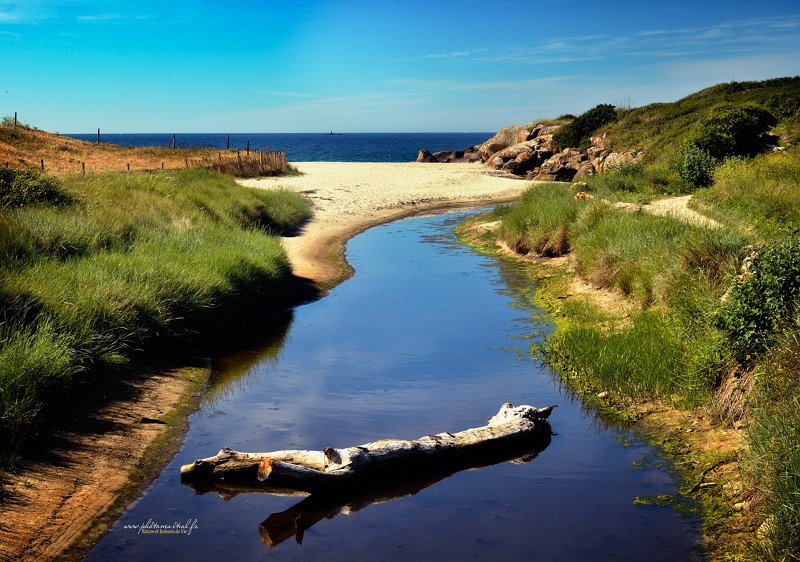 paysage25_06_18n30.jpg