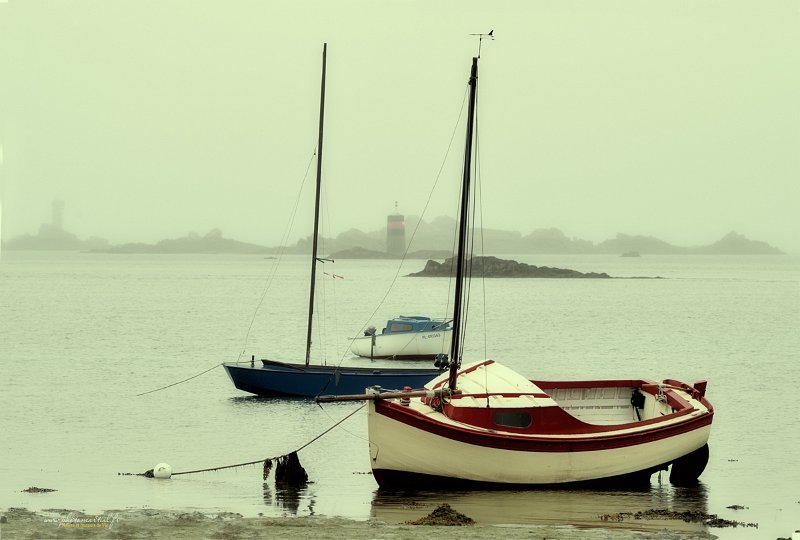paysage25_08_18n01.jpg