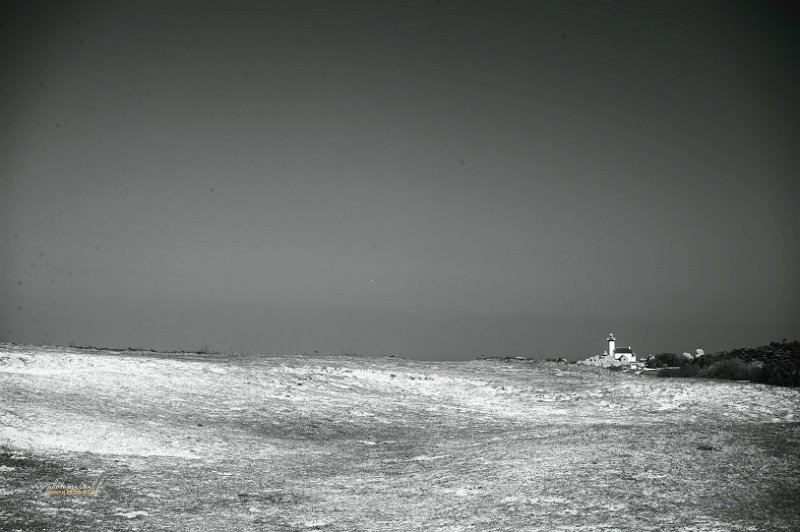 paysagel09_04_25n05-1.jpg
